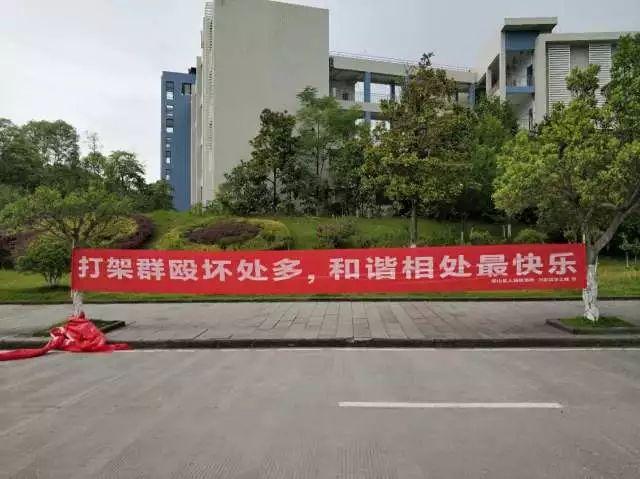 船山未检“拒绝校园暴力”系列法制讲座——对聚众斗殴说不